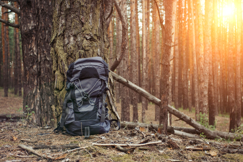 shutterstock_1187453239